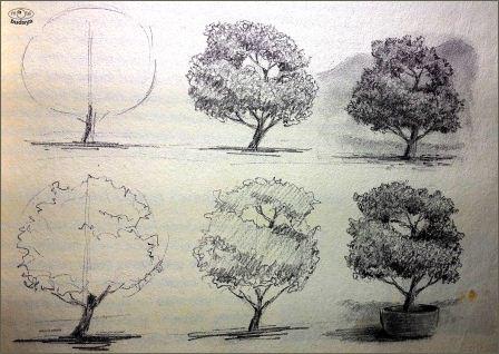 Menggambar Tumbuhan secara Detail Menggambar Tumbuhan secara Detail