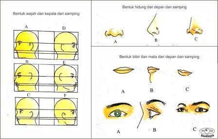 Menggambar Anatomi Tubuh Manusia Menggambar Anatomi Tubuh Manusia